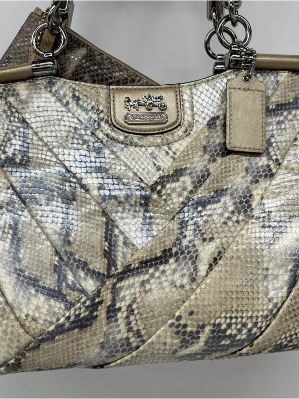 Coach Signature Snake-Print Leather Shoulder Bag in Beige